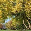 Scenery Montville Duchek 2154